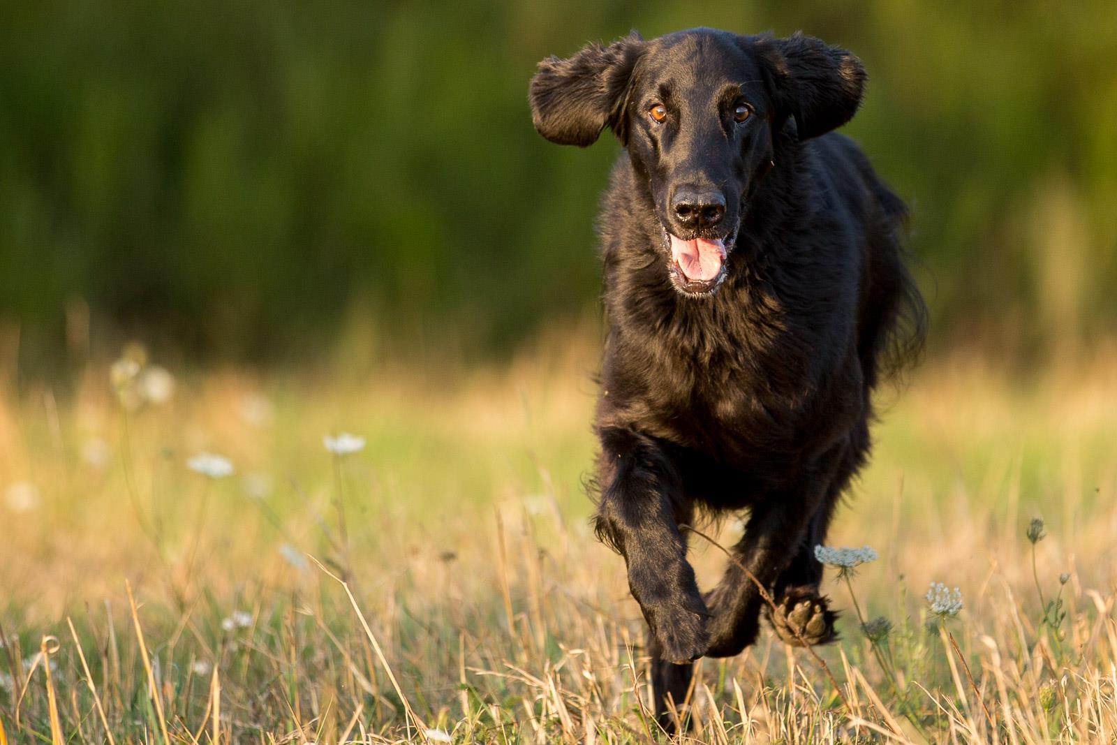 20150821 IMGL4129 (Kopie)